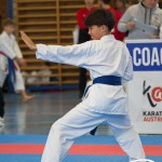 Österreichische Karate Meisterschaft 2024