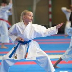 Österreichische Karate Meisterschaft 2024