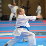 Österreichische Karate Meisterschaft 2024