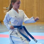 Österreichische Karate Meisterschaft 2024