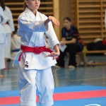 Österreichische Karate Meisterschaft 2024