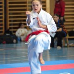 Österreichische Karate Meisterschaft 2024