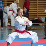 Österreichische Karate Meisterschaft 2024