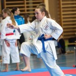 Österreichische Karate Meisterschaft 2024