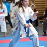 Österreichische Karate Meisterschaft 2024