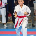 Österreichische Karate Meisterschaft 2024