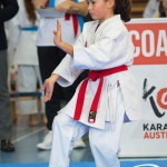 Österreichische Karate Meisterschaft 2024