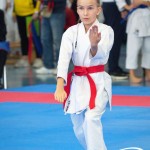 Österreichische Karate Meisterschaft 2024