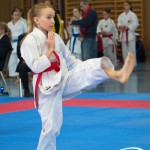 Österreichische Karate Meisterschaft 2024