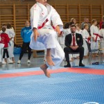 Österreichische Karate Meisterschaft 2024