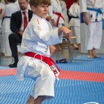 Österreichische Karate Meisterschaft 2024