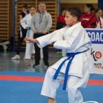 Österreichische Karate Meisterschaft 2024