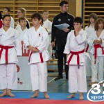 Österreichische Karate Meisterschaft 2024