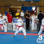 Österreichische Karate Meisterschaft 2024