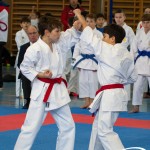 Österreichische Karate Meisterschaft 2024