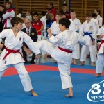 Österreichische Karate Meisterschaft 2024