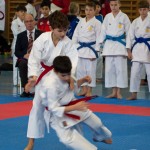 Österreichische Karate Meisterschaft 2024