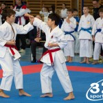 Österreichische Karate Meisterschaft 2024