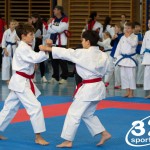 Österreichische Karate Meisterschaft 2024