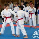 Österreichische Karate Meisterschaft 2024