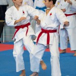 Österreichische Karate Meisterschaft 2024