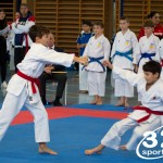 Österreichische Karate Meisterschaft 2024