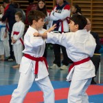 Österreichische Karate Meisterschaft 2024