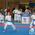 Österreichische Karate Meisterschaft 2024