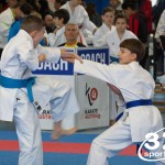 Österreichische Karate Meisterschaft 2024