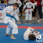 Österreichische Karate Meisterschaft 2024