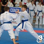 Österreichische Karate Meisterschaft 2024