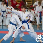 Österreichische Karate Meisterschaft 2024