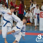 Österreichische Karate Meisterschaft 2024