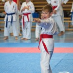 Österreichische Karate Meisterschaft 2024