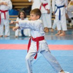 Österreichische Karate Meisterschaft 2024