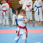 Österreichische Karate Meisterschaft 2024