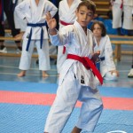 Österreichische Karate Meisterschaft 2024