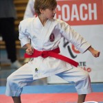 Österreichische Karate Meisterschaft 2024