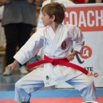 Österreichische Karate Meisterschaft 2024