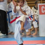 Österreichische Karate Meisterschaft 2024