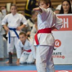 Österreichische Karate Meisterschaft 2024