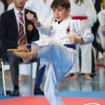 Österreichische Karate Meisterschaft 2024