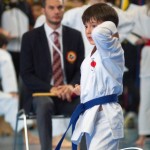 Österreichische Karate Meisterschaft 2024