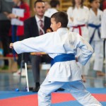 Österreichische Karate Meisterschaft 2024