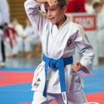 Österreichische Karate Meisterschaft 2024