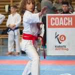 Österreichische Karate Meisterschaft 2024