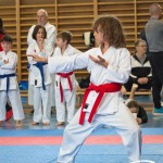 Österreichische Karate Meisterschaft 2024