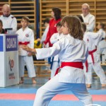 Österreichische Karate Meisterschaft 2024