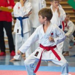 Österreichische Karate Meisterschaft 2024