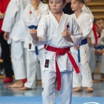 Österreichische Karate Meisterschaft 2024